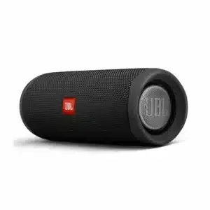 Speaker Icon